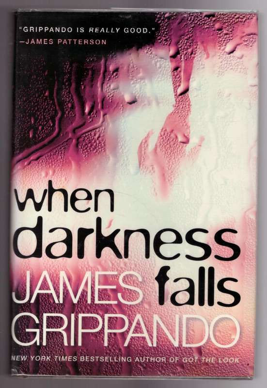 When Darkness Falls (Jack Swyteck Novel)  --  James Grippando