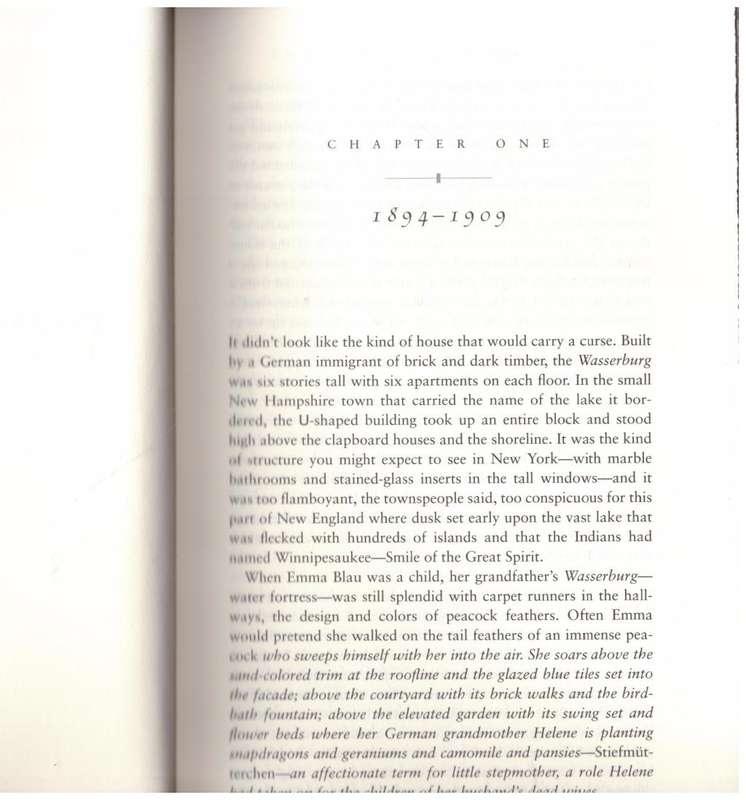 The Vision of Emma Blau: A Novel -- Ursula Hegi