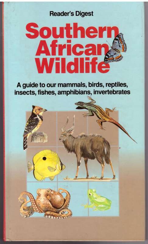 Southern African Wildlife