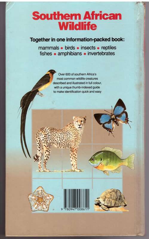 Southern African Wildlife