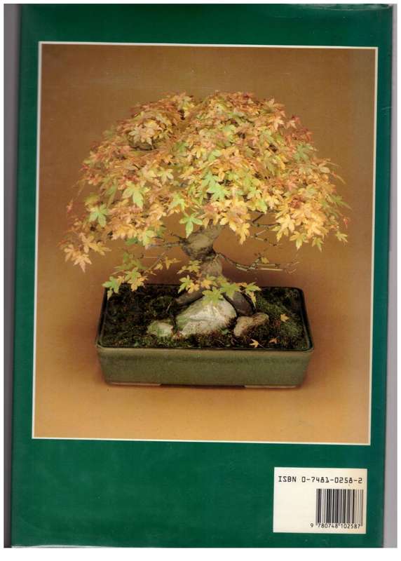 Growing Bonsai: A step-by-step guide -- Christine Stewart