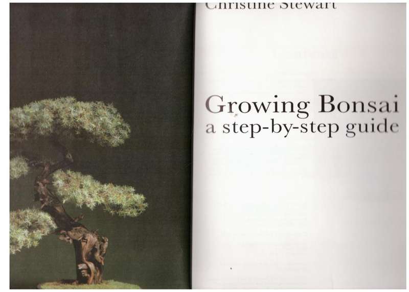 Growing Bonsai: A step-by-step guide -- Christine Stewart