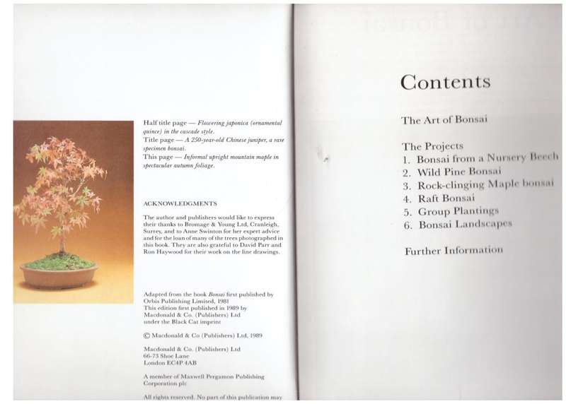 Growing Bonsai: A step-by-step guide -- Christine Stewart