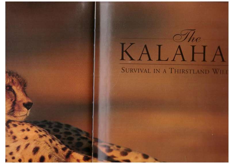 The Kalahari: Survival in a Thirstland Wilderness -- Michael Knight, Peter Joyce