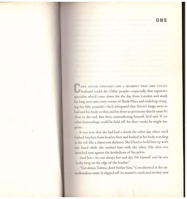 Hotel de Dream  --    Edmund White
