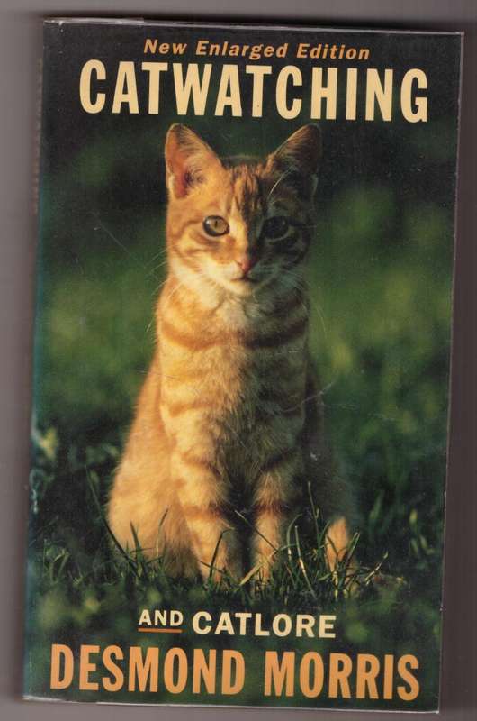 Catwatching And Catlore -- Desmond Morris