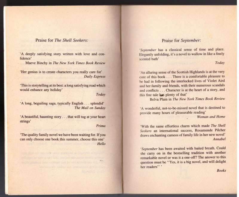 The Day of the Storm  -- Rosamunde Pilcher
