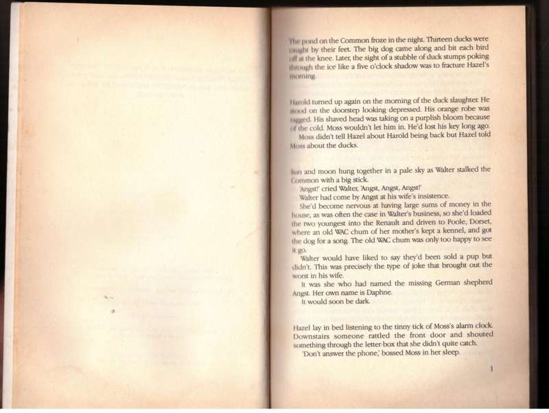 Broken Words  -- Helen Hodgman