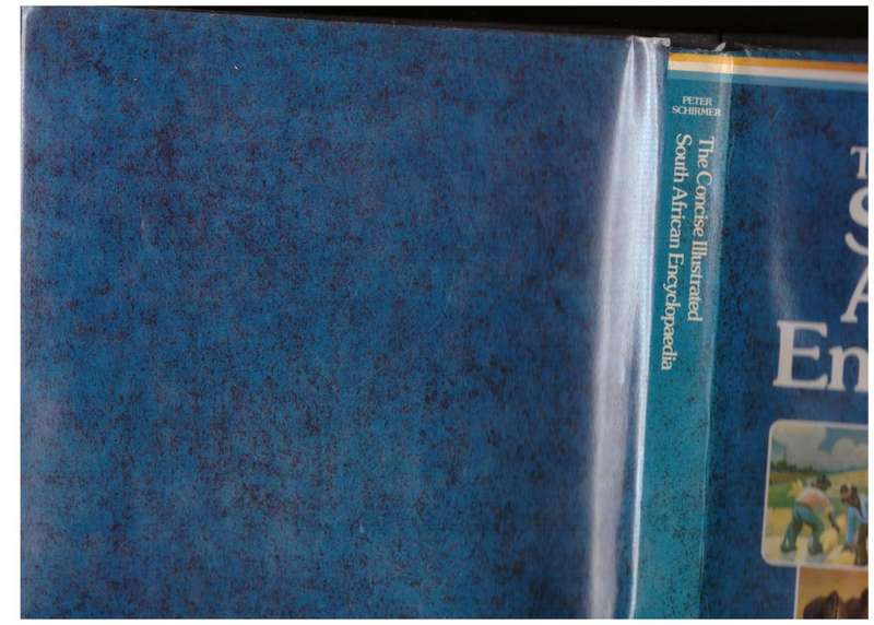 The Concise South African Encyclopaedia  Peter Schirmer