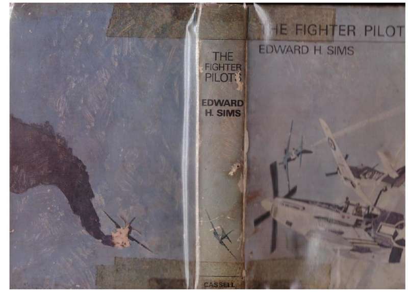 The Fighter Pilots  Edward H. Sims