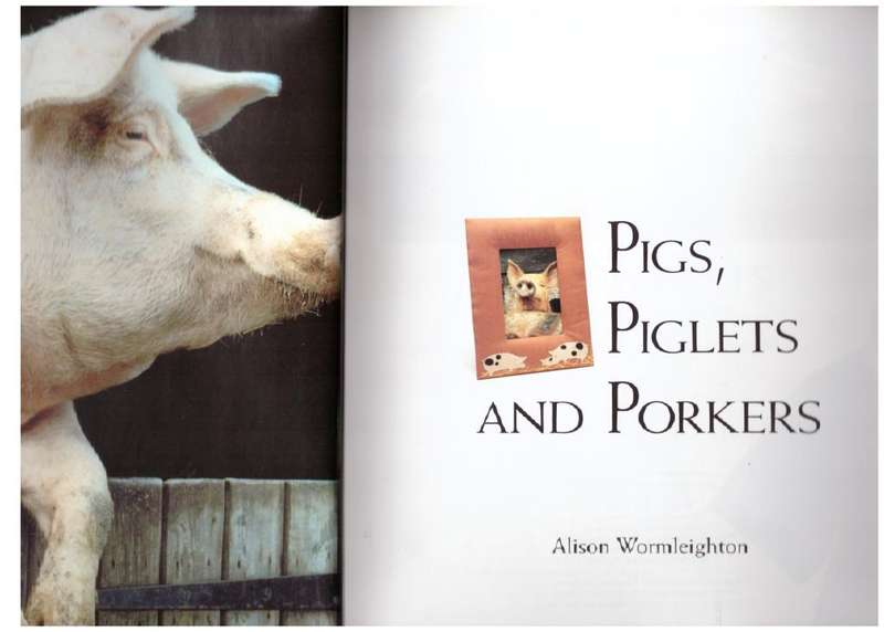 Pigs, Piglets and Porkers --  Alison Wormleighton