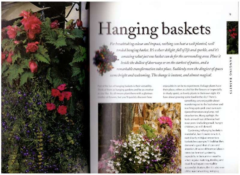 Easy Hanging Baskets & Window Boxes -- Richard Jackson, Carolyn Hutchinson