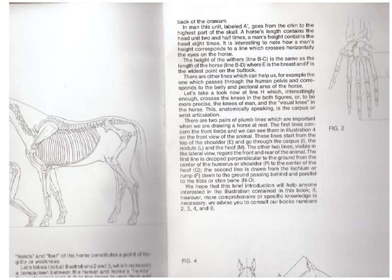 Let us paint Horse and Man (Leonardo Collection #11)