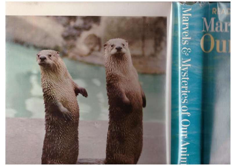 Marvels & Mysteries of Our Animal World