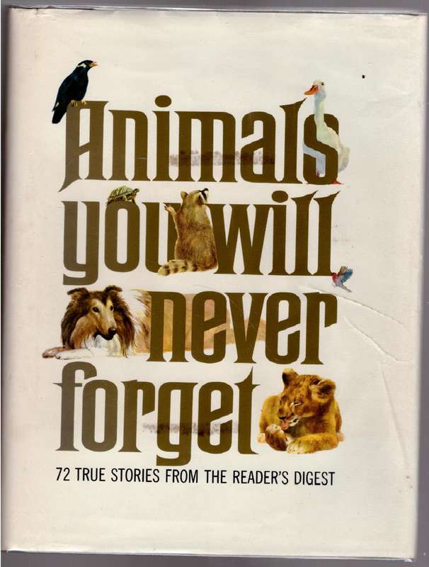 Animals You Will Never Forget