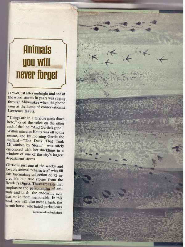 Animals You Will Never Forget