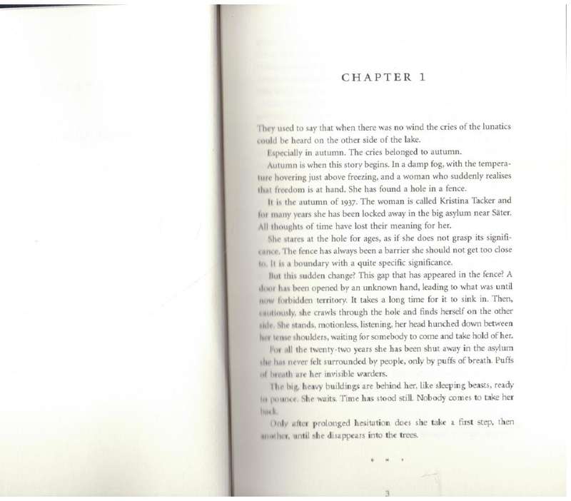 Depths  --  Henning Mankell