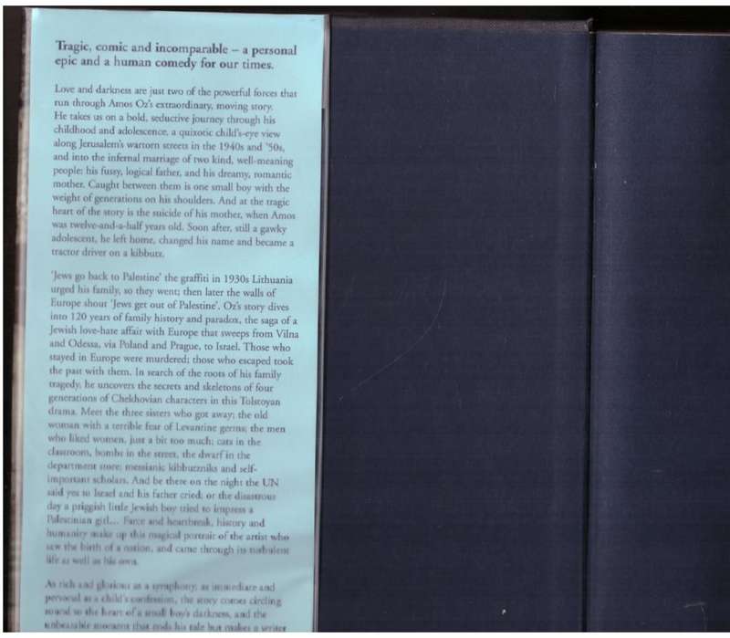 A Tale Of Love And Darkness -- Amos Oz