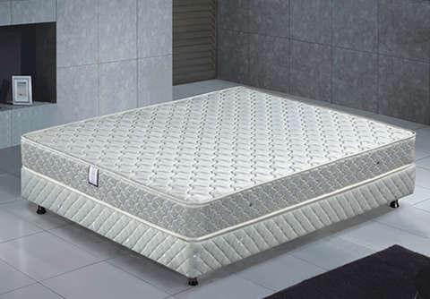 Chiro Care Queen Size