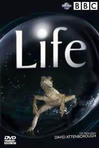 BBC Life DVD Documentary