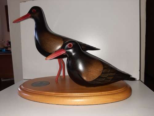 BIRDS OF KNYSNA AFRICAN BLACK OYSTER CATCHER
