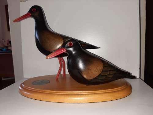 BIRDS OF KNYSNA AFRICAN BLACK OYSTER CATCHER