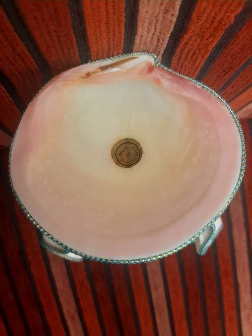MADONNA (MOTHER MARY) IN SHELL