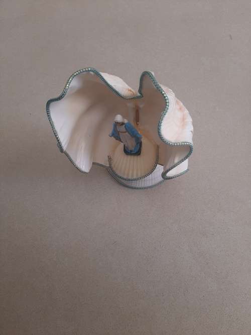 MADONNA (MOTHER MARY) IN SHELL