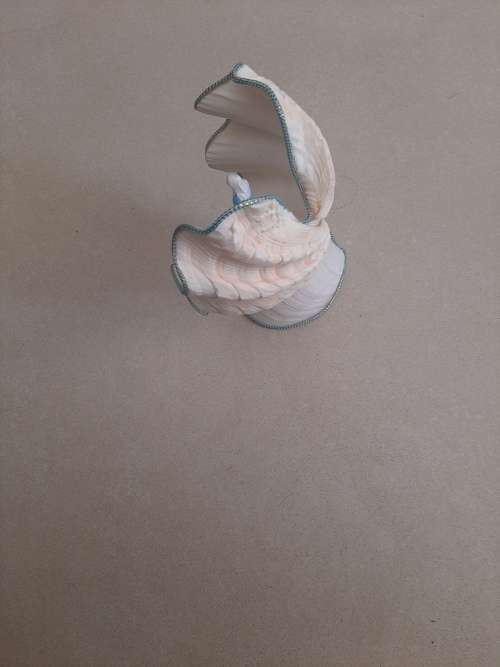 MADONNA (MOTHER MARY) IN SHELL