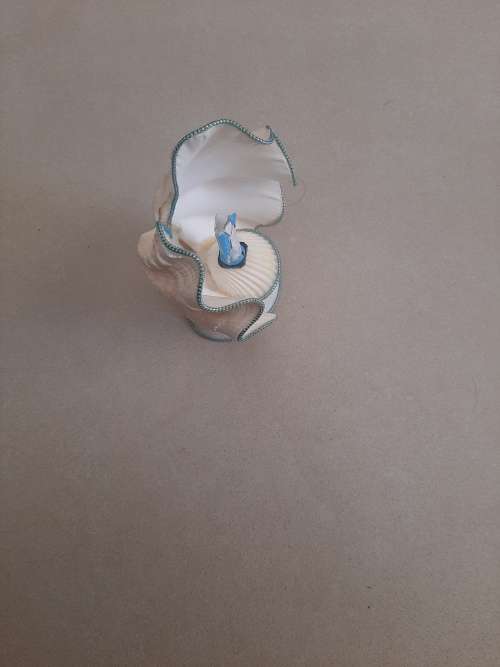 MADONNA (MOTHER MARY) IN SHELL