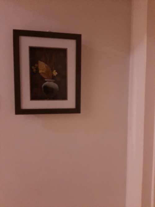 RELIEF FLOWER IN POT IN A FRAME