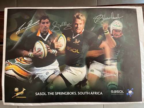 Set of 10 Springbok Rugby Posters (Each one 29,5cm * 42cm)