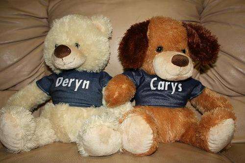 Personalised Teddy Bear
