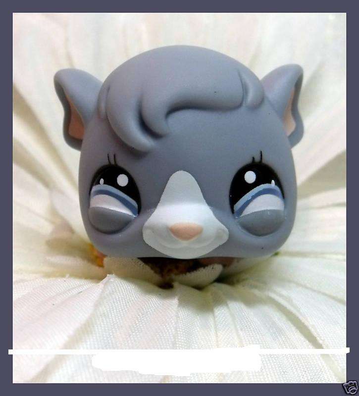 Littlest Petshop - Grey  Guinea-pig