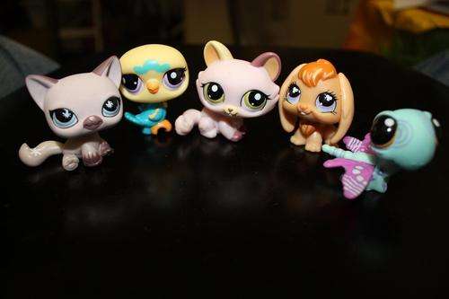 Set of 5 Littlest Petshops - cat, bird, dragonfly, cat, bunny
