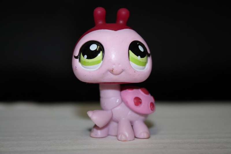 Littlest Petshop - Ladybird