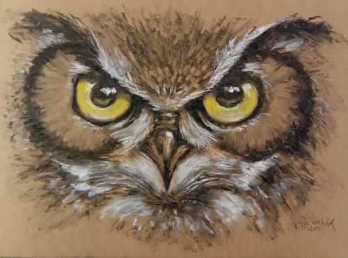 Owl