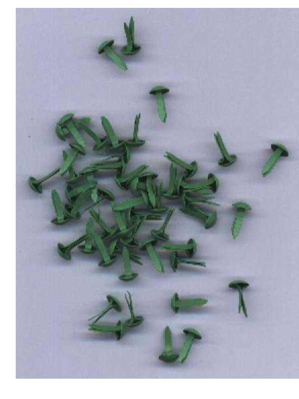 BRADS:   GREEN  small round - 50 per packet