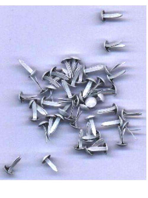 BRADS:  WHITE    small round  - 50 per packet