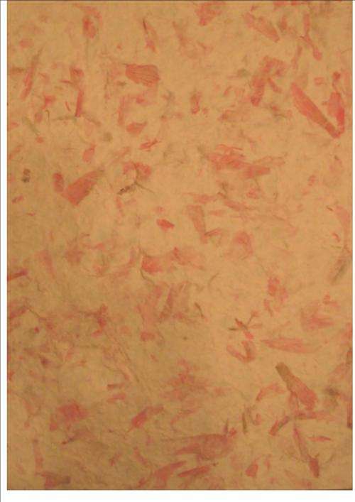 ORGANIC HANDMADE PAPER - cream colour paper infused with baby pink leaves and petals - size A4