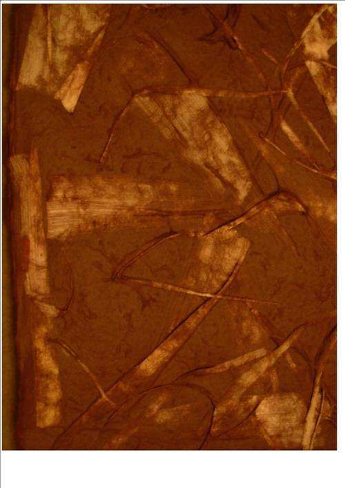 ORGANIC HANDMADE PAPER -  chocolate brown paper with corn leaves - size A4 sheet