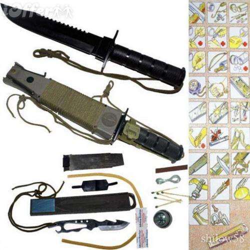 Survivor Set