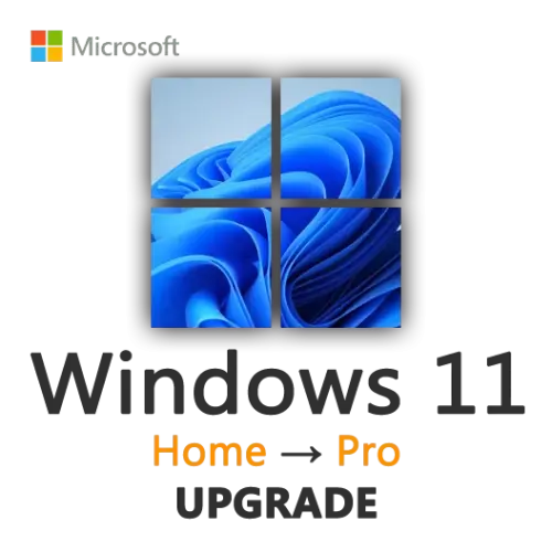 Windows 11 home to Windows 11 Pro
