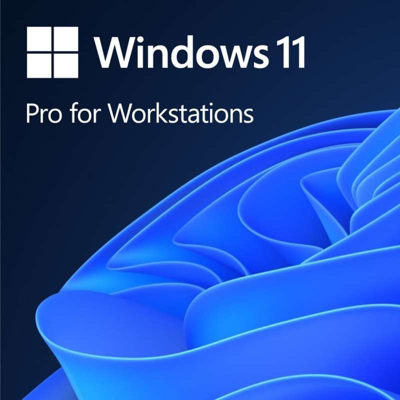 Windows 11 Professional For Workstation