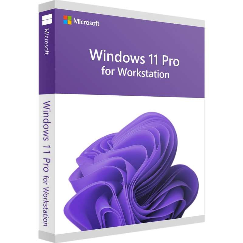 Windows 11 Professional For Workstation