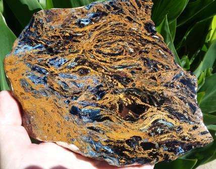 Natural Pietersite 830 gram