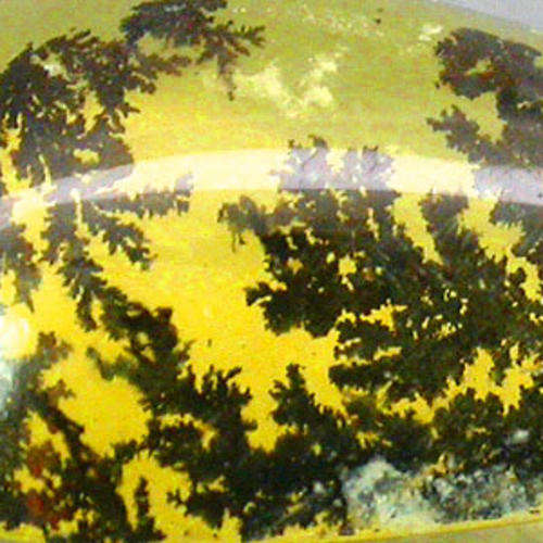 NATURAL BLACK MOSS HOLY WHITE FIRE OPAL 1.58 CT