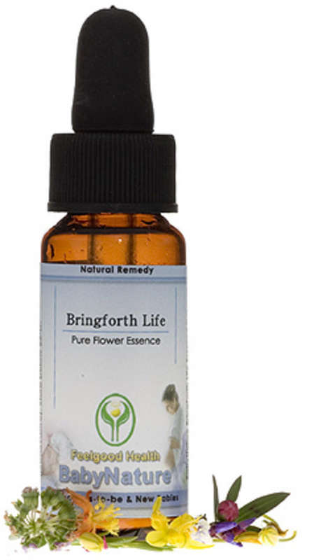 Bringforth Life