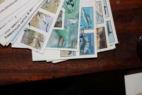 Lot of Stamp Cards - Please Read Below