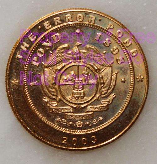 The Error Pond Medallion